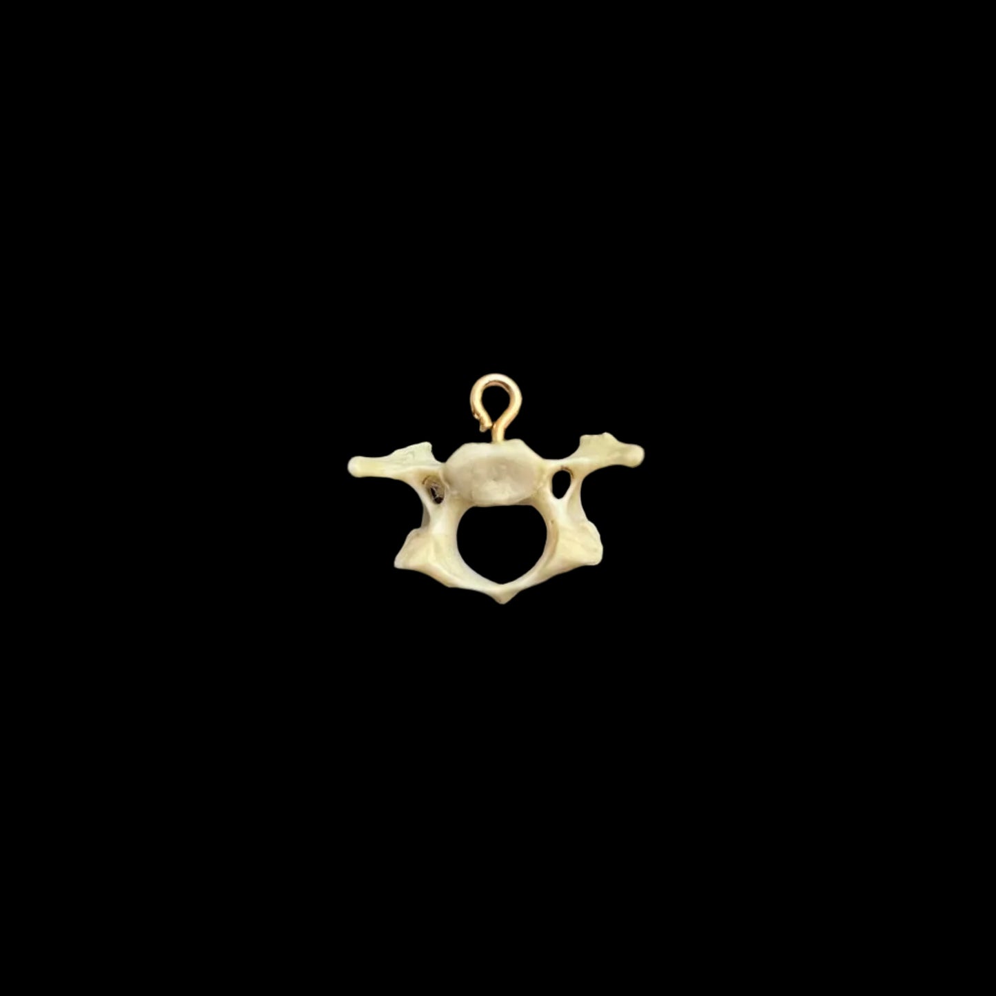 Gold Bone Pendant 3