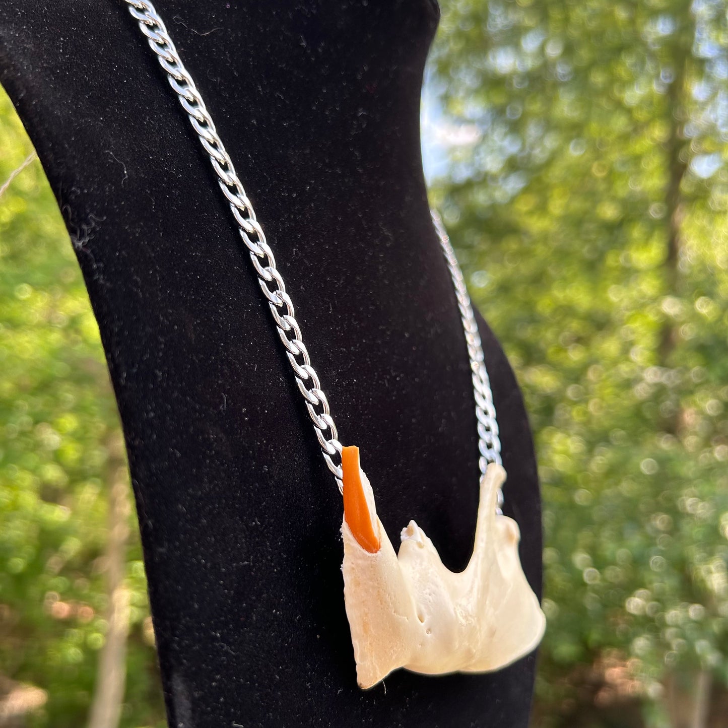 Beaver Necklace