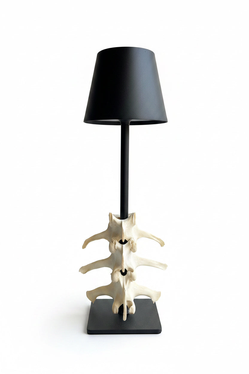 LED Bone Lamp