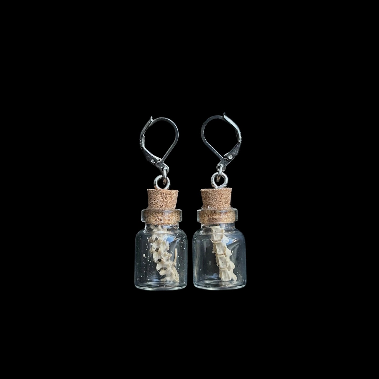 Mouse Spine Earrings