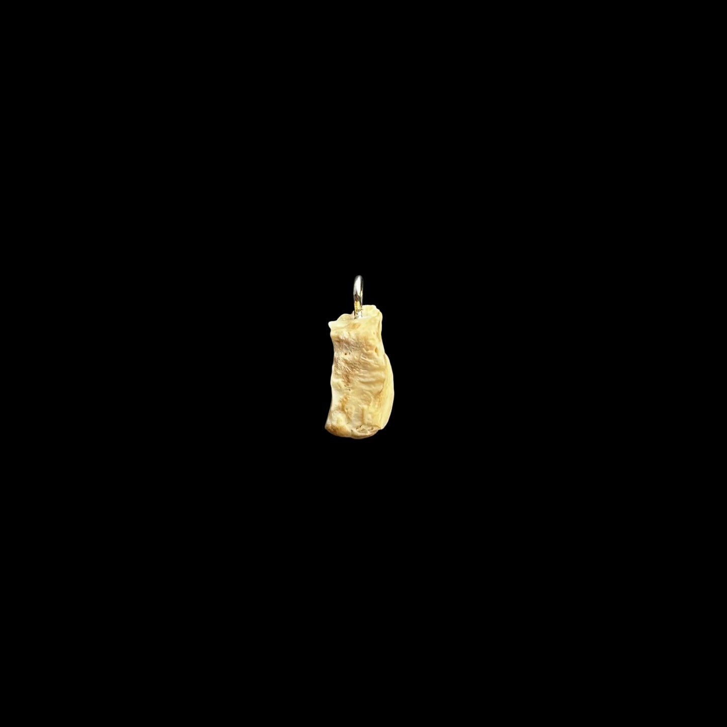 Silver Bone Pendant