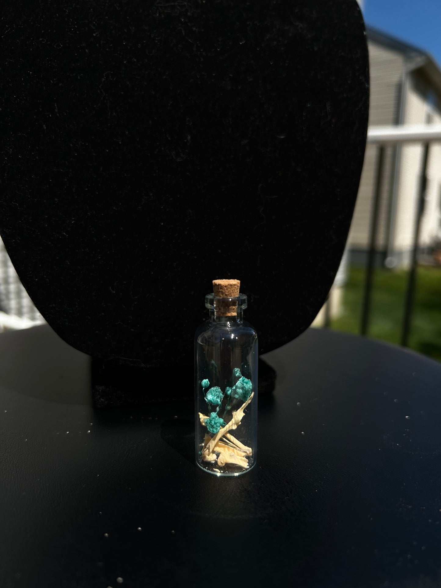 Mouse Bone Vials