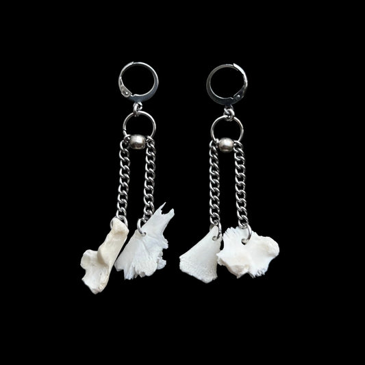 Turtle Earrings