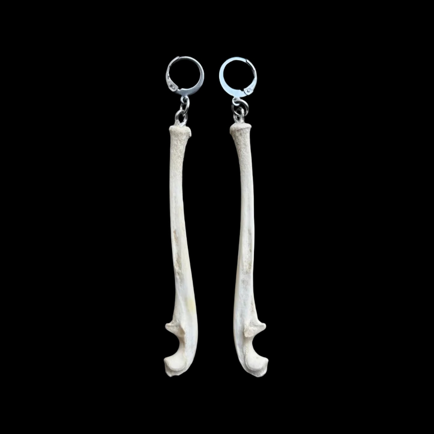 Raccoon Ulna Earrings