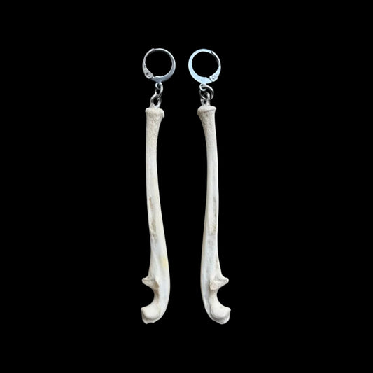 Raccoon Ulna Earrings