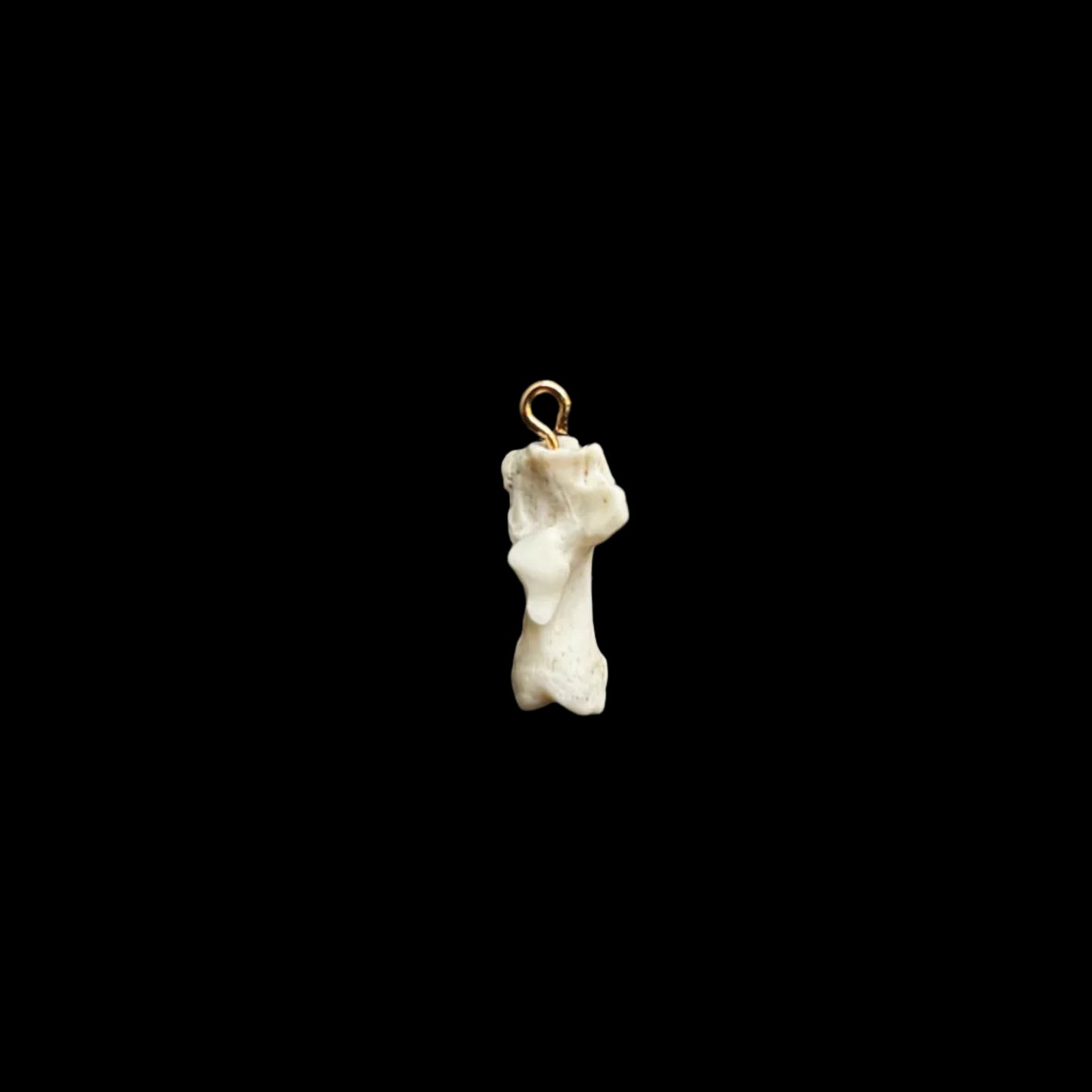 Gold Bone Pendant 1
