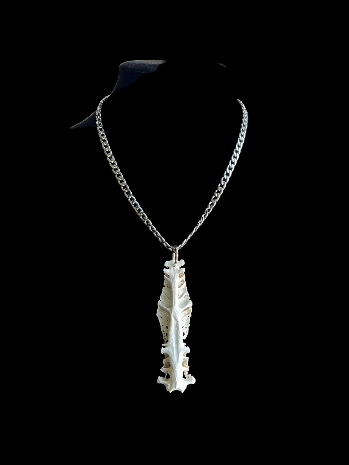 Silver Sacrum
