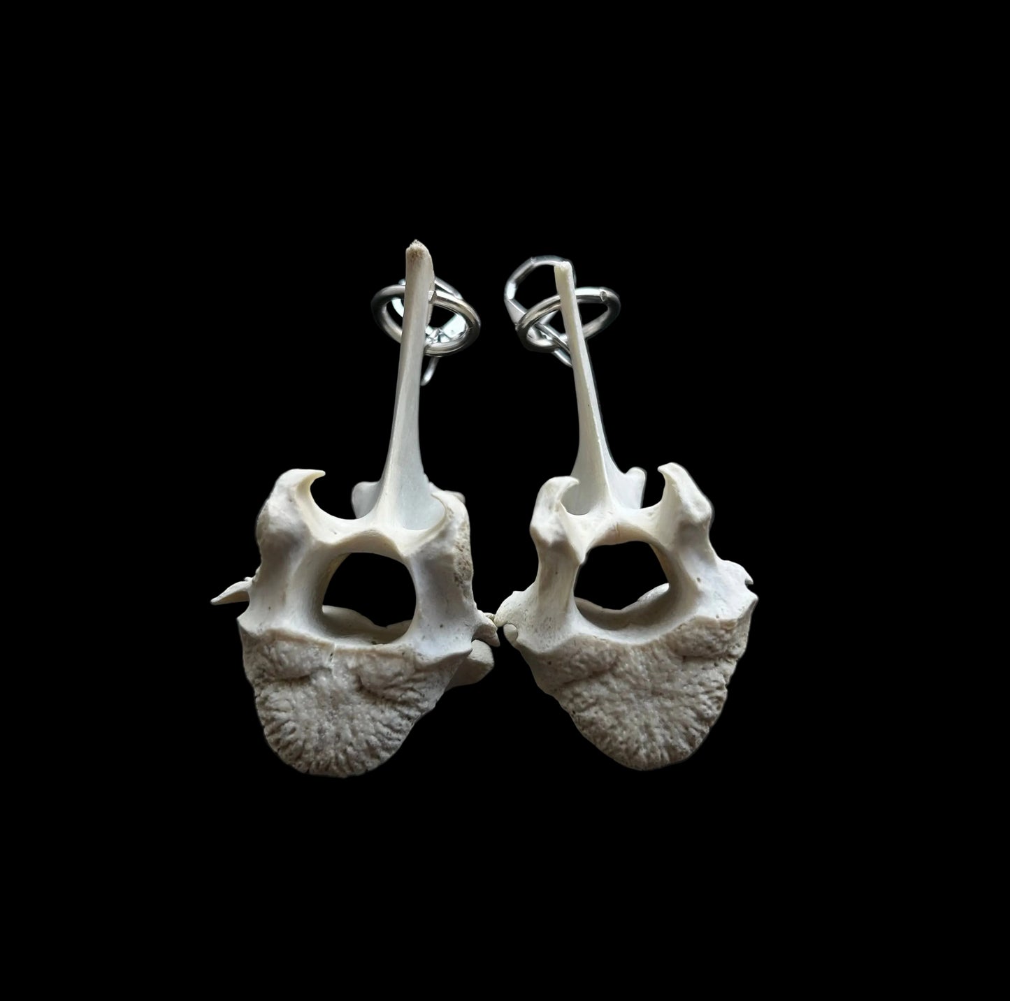 Deer Spine Earrings