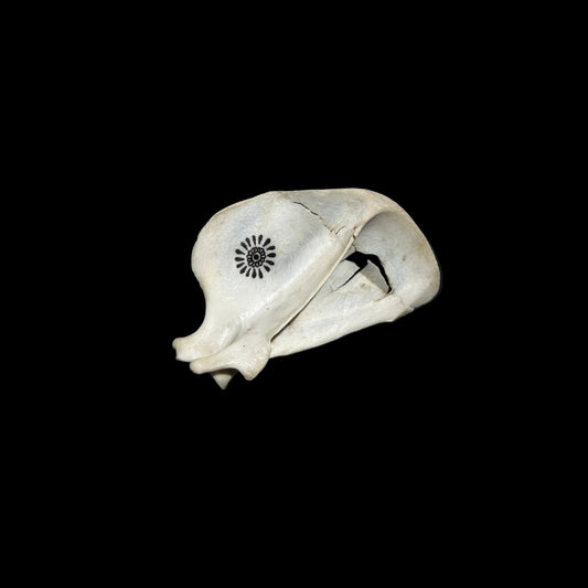 Tatted Fox Scapula