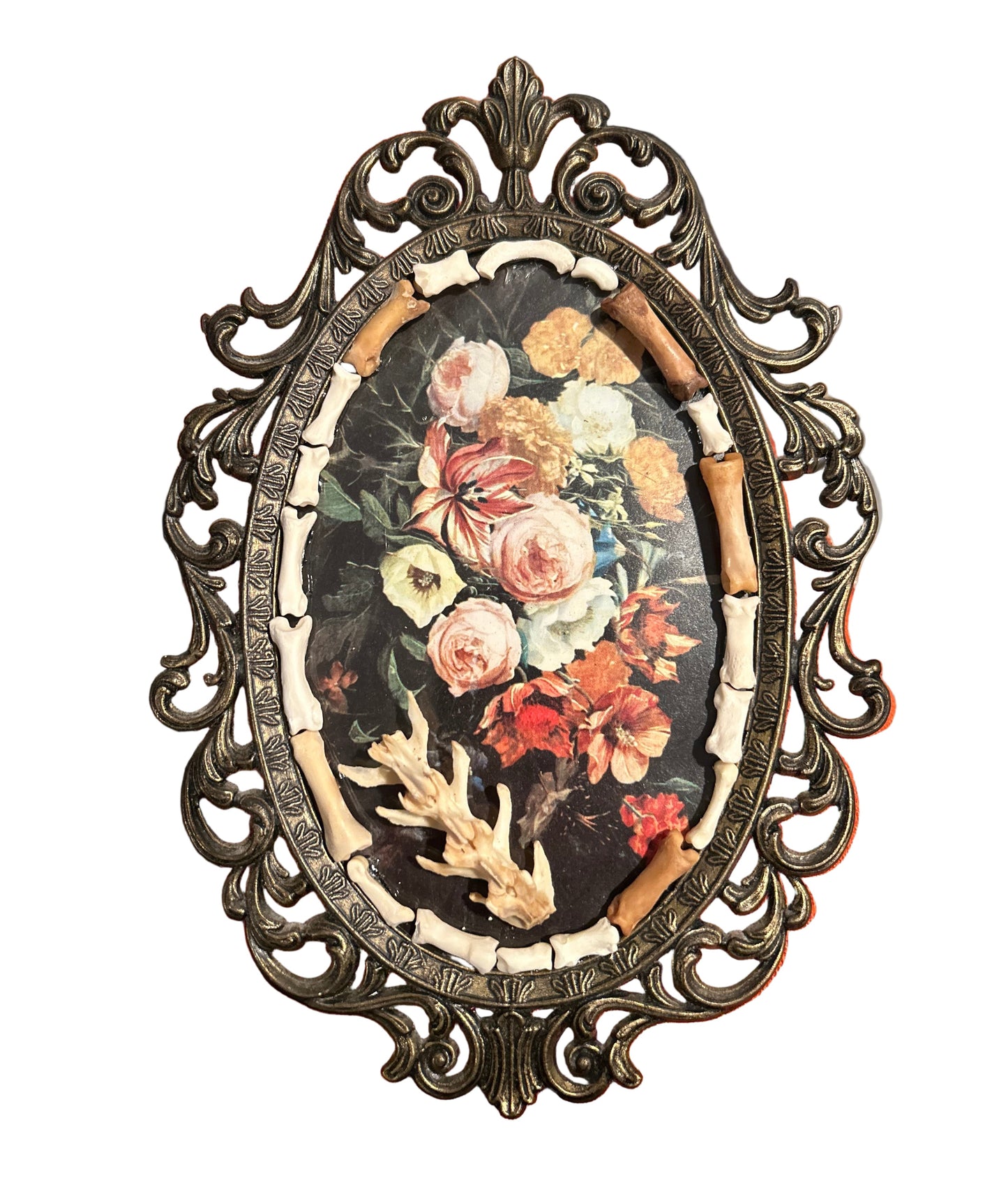 Framed Spine & Toes