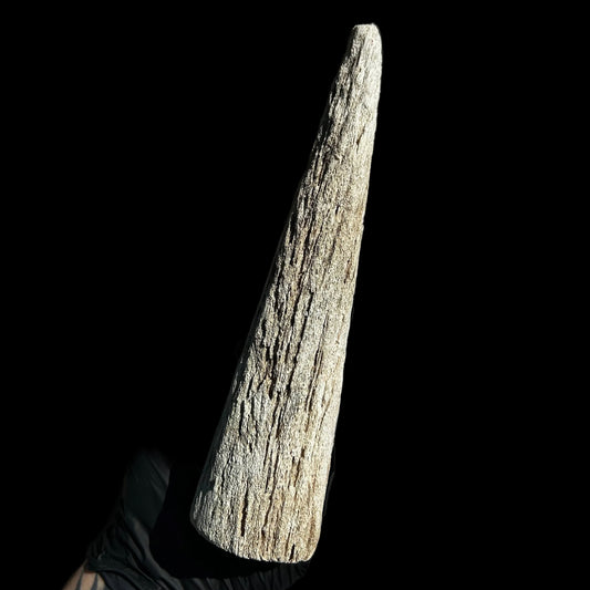 Goat Horn