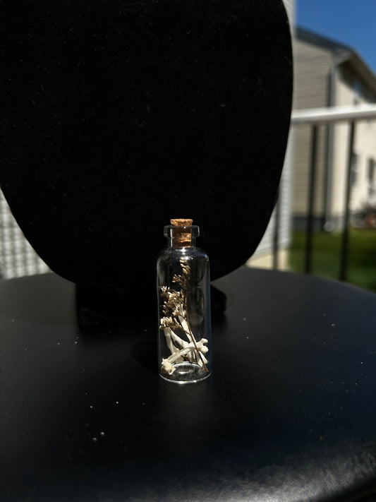 Mouse Bone Vials