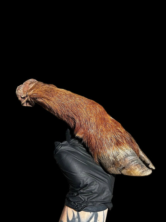 Goat Foot