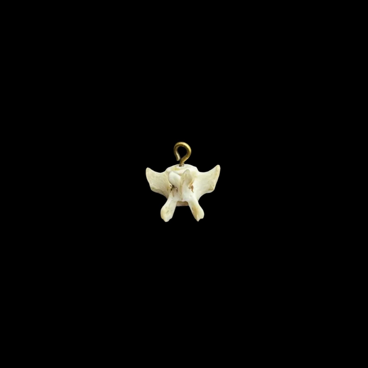 Brass Bone Pendant 2