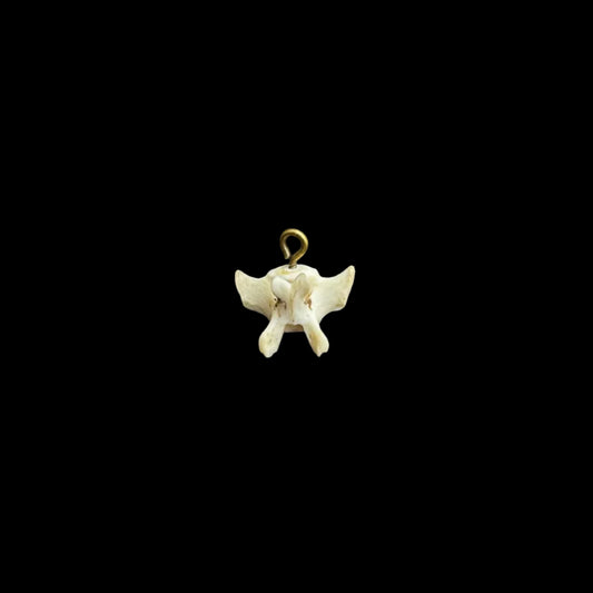 Brass Bone Pendant 2