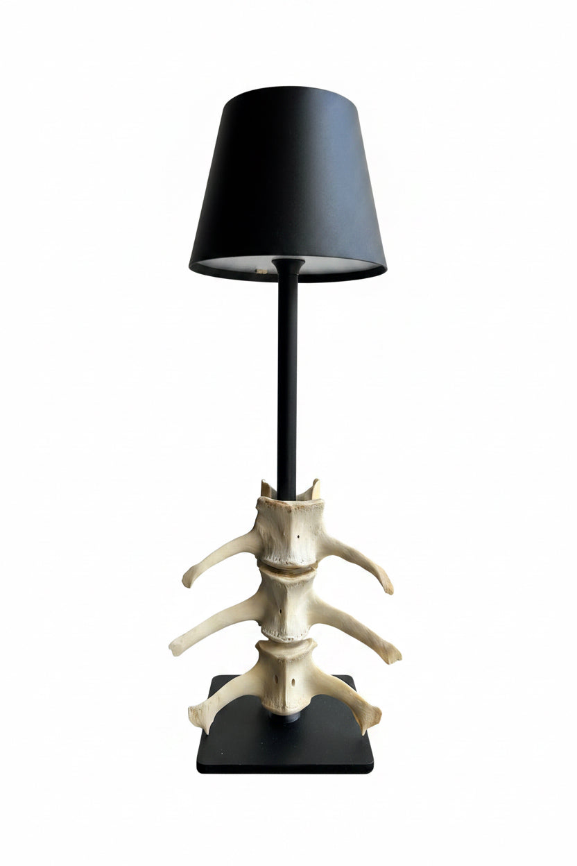 LED Bone Lamp