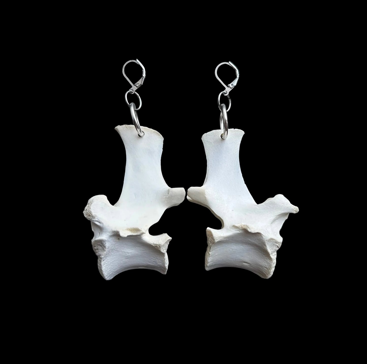 Deer Spine Earrings