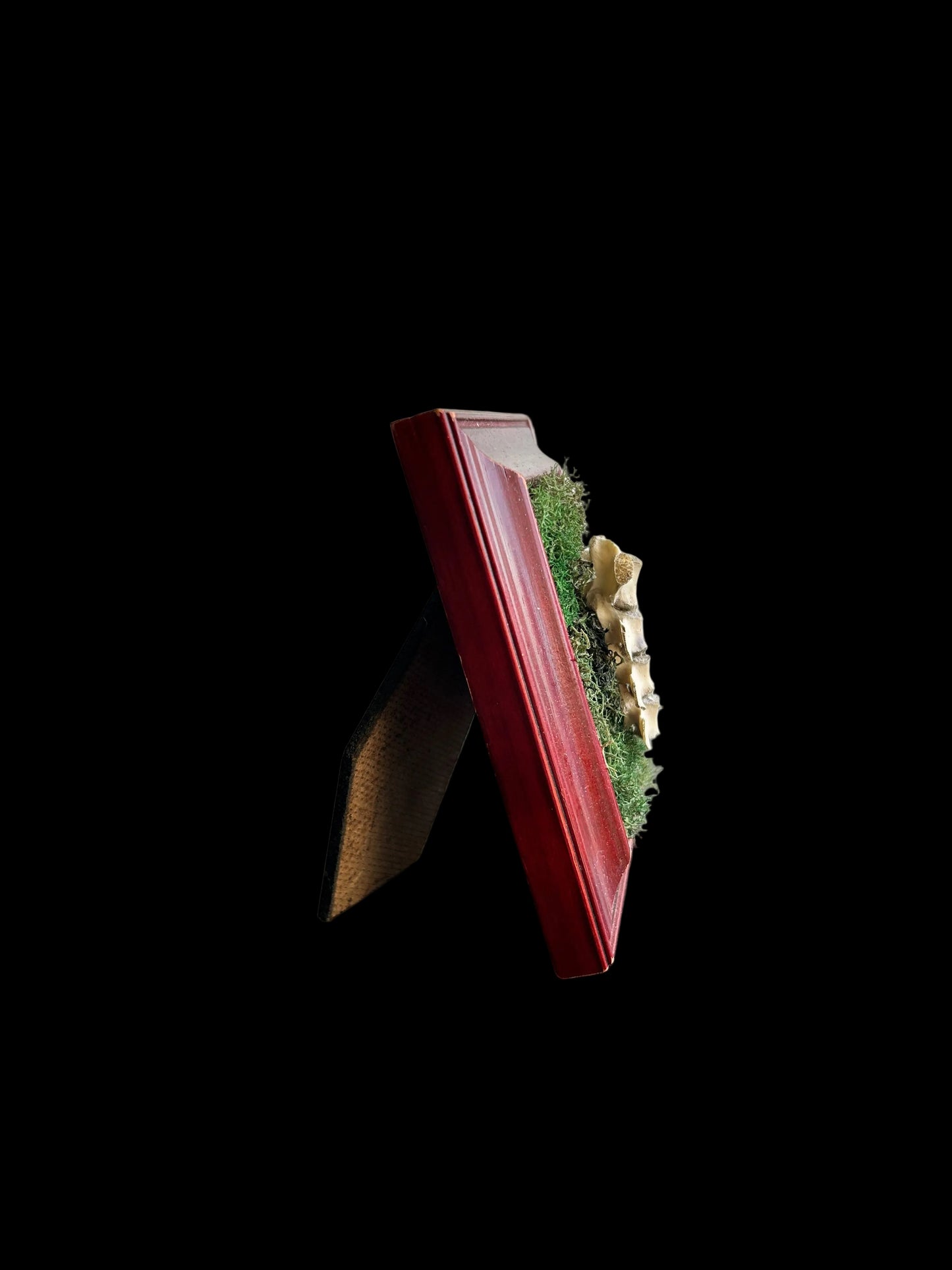 Mini Spine Frame
