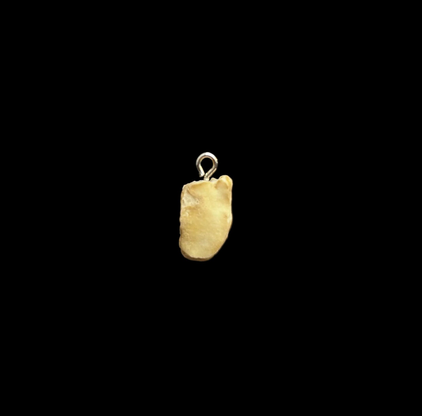 Silver Bone Pendant