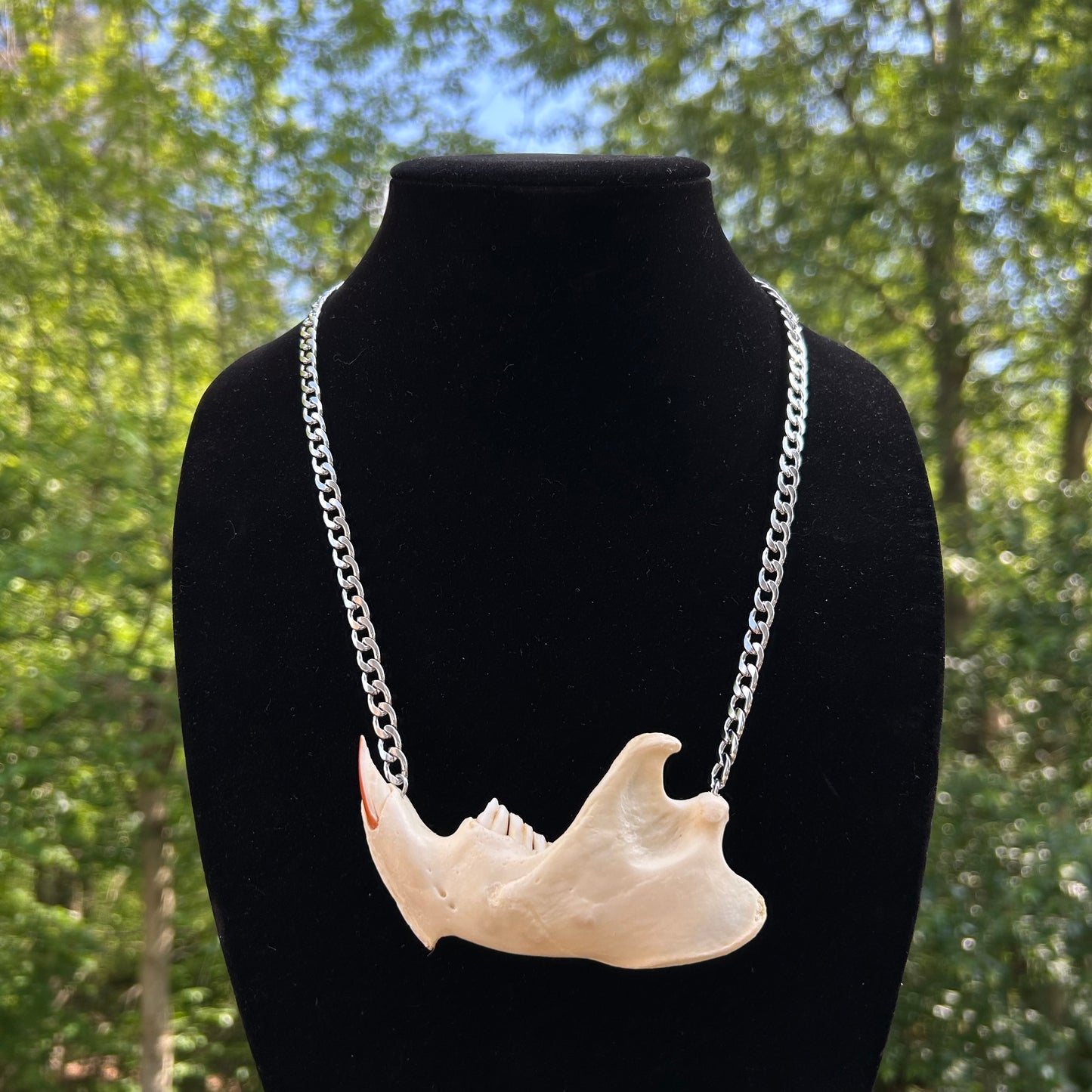 Beaver Necklace