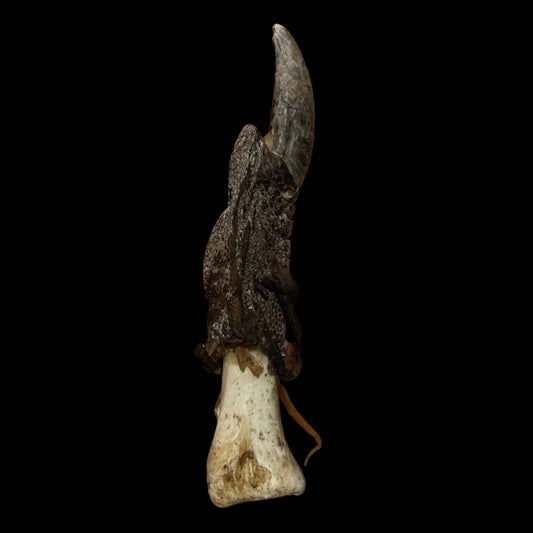 Emu Toe
