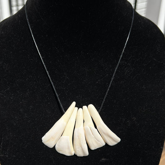 Buffalo Teeth Necklace