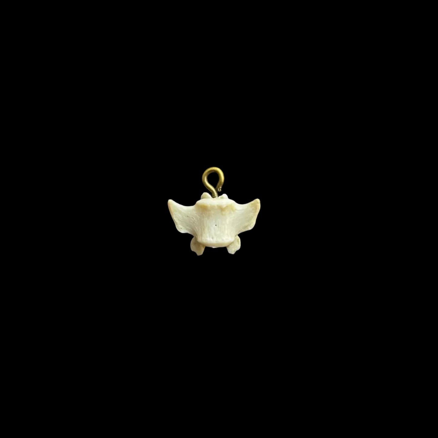 Brass Bone Pendant 2