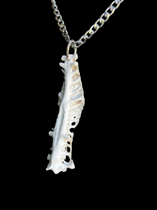 Silver Sacrum