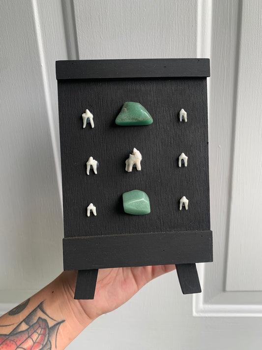 Teeth Display